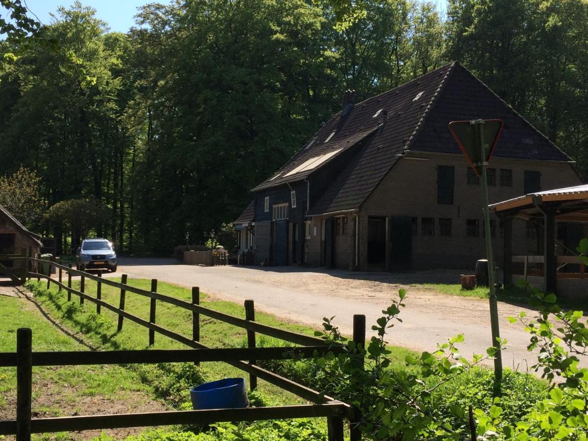 Boerderij De Enkhoeve Laag-Soeren Екстериор снимка